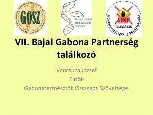 VII Bajai Gabona Partnersg tallkoz Vancsura Jzsef Elnk