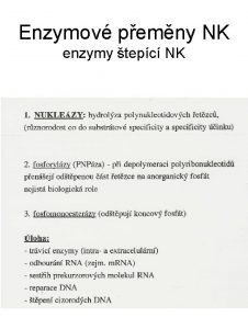 Enzymov pemny NK enzymy tepc NK Nukleza S