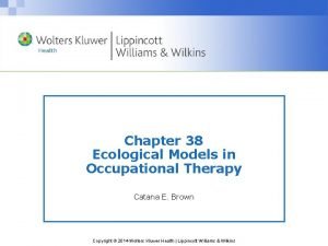 Ecology of human performance model
