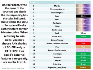 Squid scienstructable key and functions