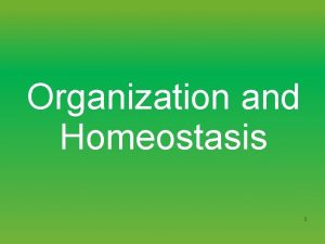 Biological levels of organization