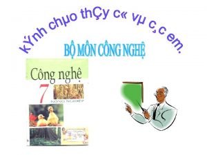 Lợn siêu nạc