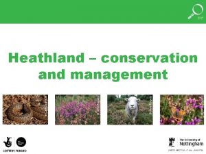 Amy Rogers Carl Corbidge Heathland conservation and management