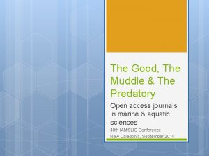 The Good The Muddle The Predatory Open access