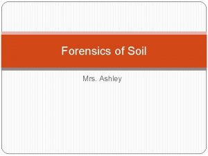 Ashley soils