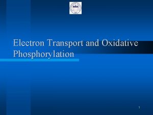 Electron Transport and Oxidative Phosphorylation 1 Metabolism Overview