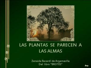 LAS PLANTAS SE PARECEN A LAS ALMAS Zenaida