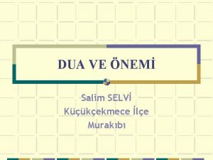 Selv nedir