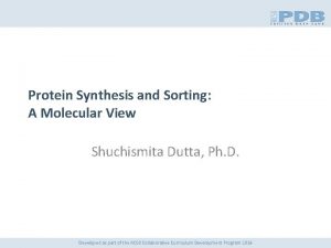 Types of dna polymerase in eukaryotes Types of dna polymerase in eukaryotes