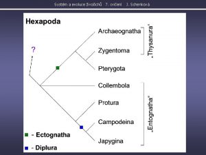Systm a evoluce ivoich 7 cvien J Schenkov