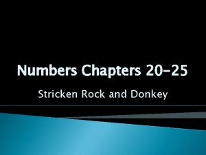 Numbers Chapters 20 25 Stricken Rock and Donkey