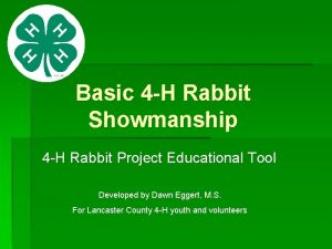 Basic 4 H Rabbit Showmanship 4 H Rabbit