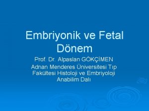 Embriyonik ve Fetal Dnem Prof Dr Alpaslan GKMEN