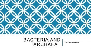 Bacteria vs archaea