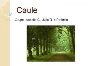 Caule Grupo Isabella C Jlia R e Rafaella