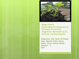 Mega cilantro Universidad de Cundinamarca Extensin Facatativ Asignatura