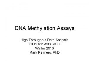 DNA Methylation Assays High Throughput Data Analysis BIOS