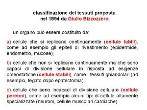 classificazione dei tessuti proposta nel 1894 da Giulio