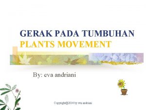 Eva andriani