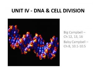 UNIT IV DNA CELL DIVISION Big Campbell Ch