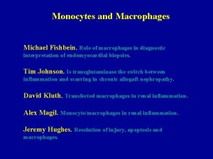 Monocytes and Macrophages Michael Fishbein Role of macrophages
