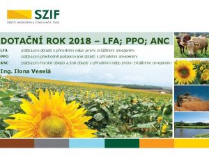 Anc 2018