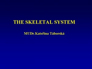 THE SKELETAL SYSTEM MUDr Kateina Tborsk Bone scintigraphy