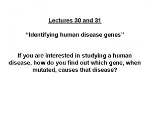 Lectures 30 and 31 Identifying human disease genes