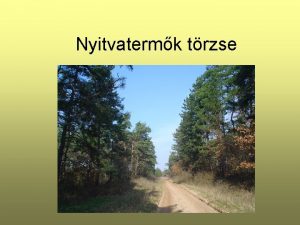 Nyitvatermk trzse Cikszok osztlya Mintegy szz fajuk trpusi