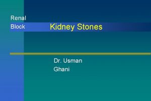 Renal Block Kidney Stones Dr Usman Ghani Overview