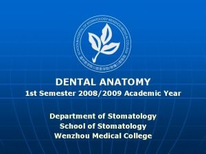 DENTAL ANATOMY 1 st Semester 20082009 Academic Year