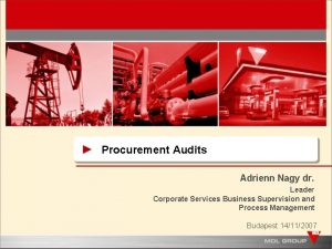 Procurement Audits Adrienn Nagy dr Leader Corporate Services