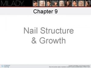 Milady chapter 9 nail structure and growth