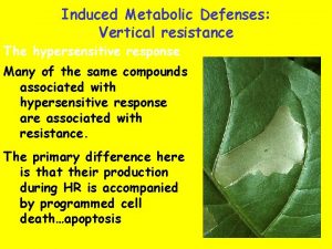 Induced Metabolic Defenses Vertical resistance The hypersensitive response