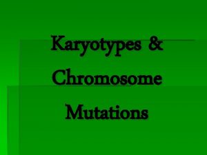 Karyotypes Chromosome Mutations Look at the karyotype for