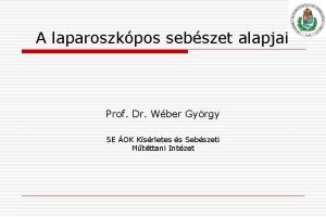 A laparoszkpos sebszet alapjai Prof Dr Wber Gyrgy