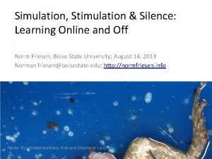 Simulation Stimulation Silence Learning Online and Off Norm