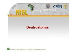 Deutrostomia Available at http planet uwc ac zanislEcopeoplePresentations