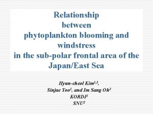 Relationship between phytoplankton blooming and windstress in the