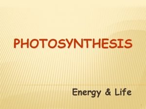 Products of photosynthesis