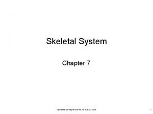 7:4 skeletal system