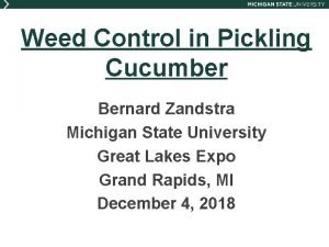 Weed Control in Pickling Cucumber Bernard Zandstra Michigan
