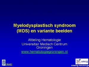 Myelodysplastisch syndroom MDS en variante beelden Afdeling Hematologie