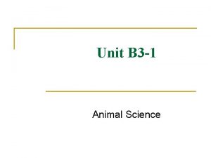 Animal female reproductive system diagram