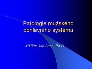 Patologie muskho pohlavnho systmu MUDr Jan Laco Ph
