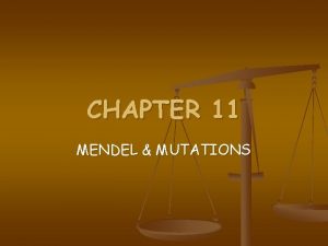 CHAPTER 11 MENDEL MUTATIONS Father of Genetics Monk