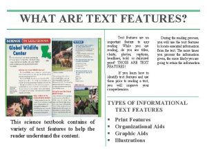 Text features meaning