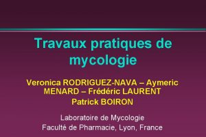 Tp de mycologie Tp de mycologie