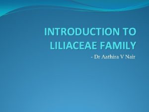 INTRODUCTION TO LILIACEAE FAMILY Dr Aathira V Nair