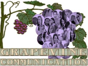 Examples of grapevine